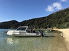 Abel Tasman trek